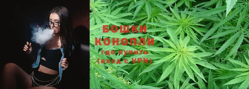 Шишки марихуана OG Kush  Баксан 